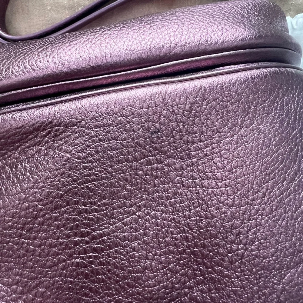 HOBO Logan Rich Frosted Plum Crossbody Bag